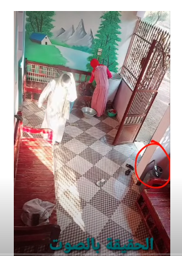 حقيقة فيديو رجل يقتل زوجته بطريقة غير مسبوقة