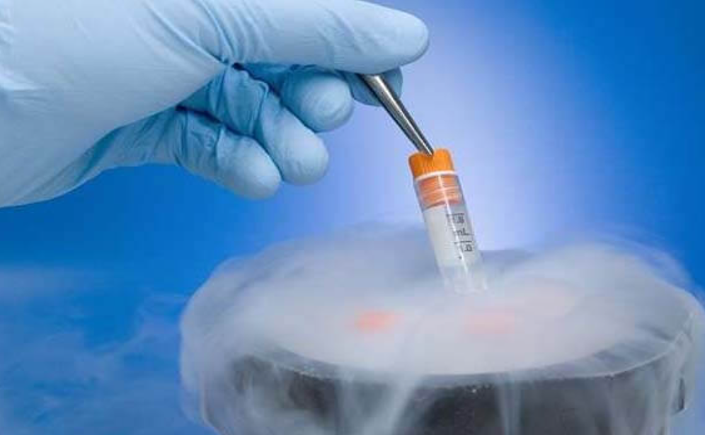 تجميد البويضات