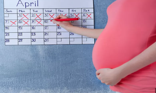 حساب موعد الولادة