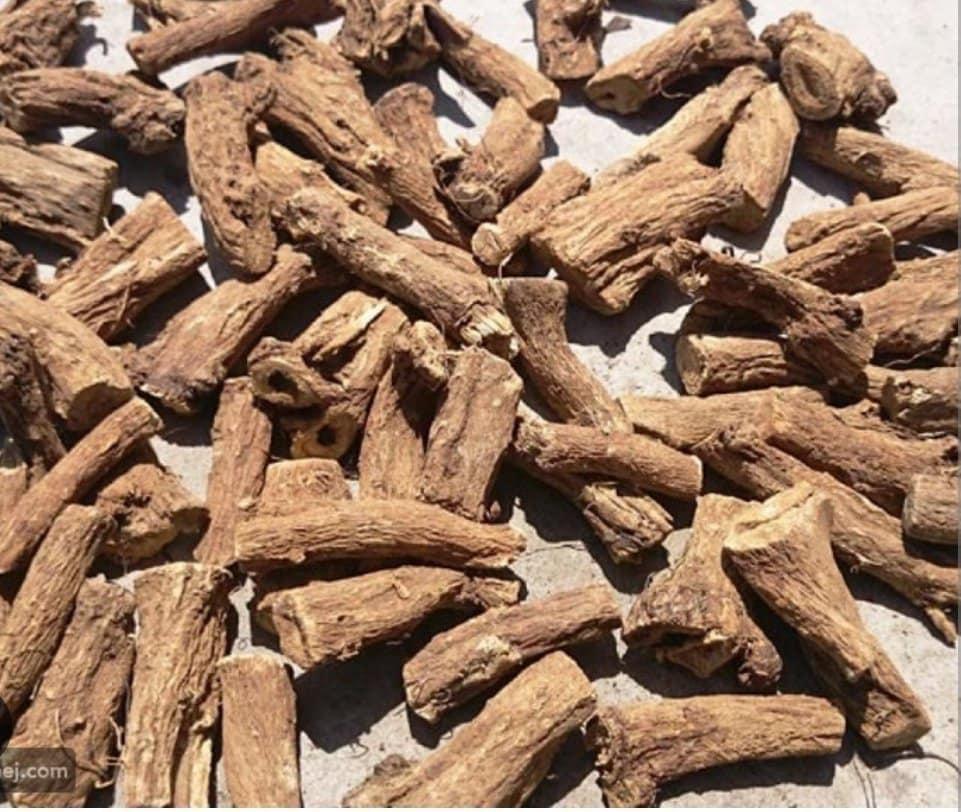 القسط الهندي
