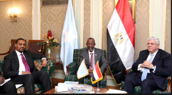 وزير الخارجية يؤكد دعم مصر لجميع مساعي الصومال في مختلف المحافل الدولية