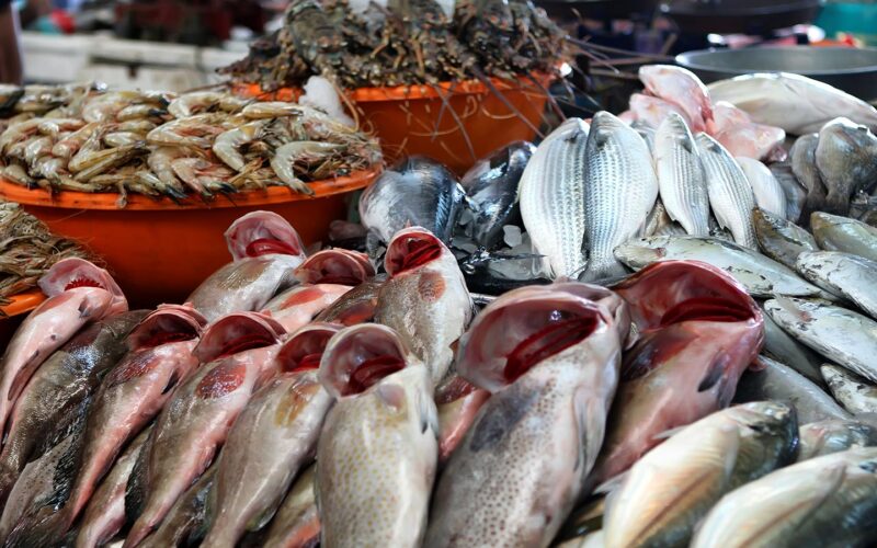 أسعار الأسماك وأعلافها اليوم الخميس 25 إبريل