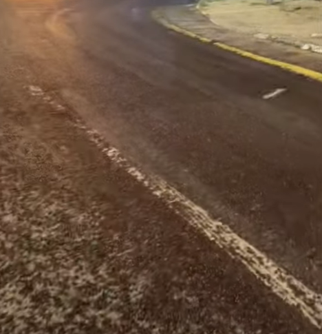 انتشار الخنافس