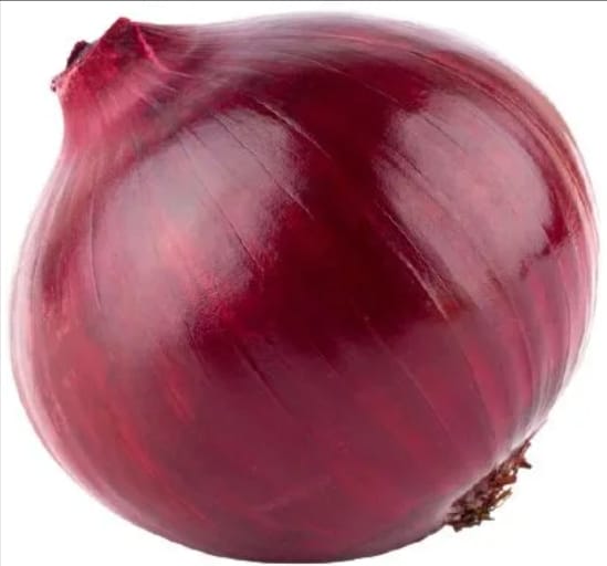 البصل