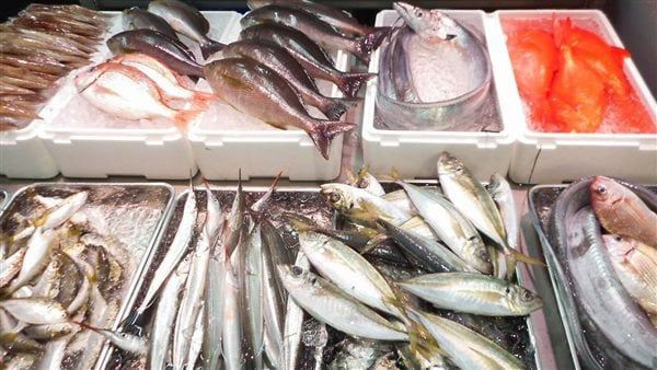 أسعار الأسماك اليوم الخميس 18 إبريل